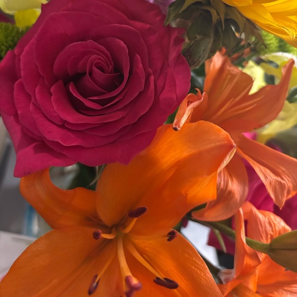 Meet your Posher, Cynthia - Picture 5 of 6